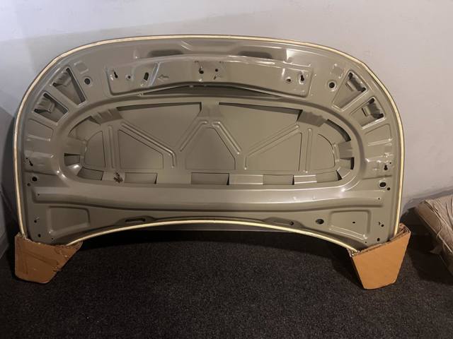 Капот VAG 12D823031