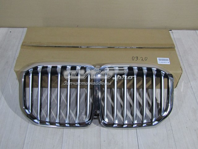 Решітка радіатора PBM07220SET Signeda