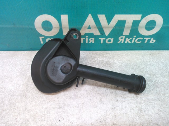  1183100Q0B Renault (RVI)