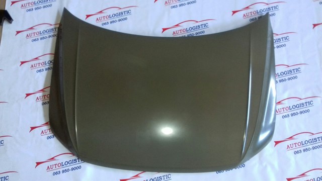 Капот FPS FP7445281