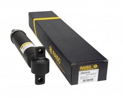 Амортизатор задній RS018125 Raiso