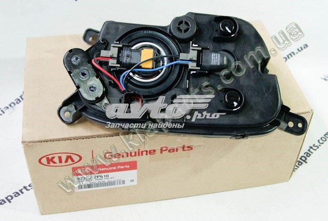 Купити 922022P610 Hyundai/Kia Протитуманка права