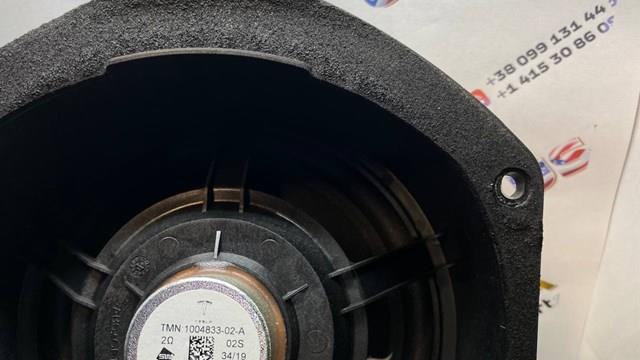 100483302A Tesla Динамік передній