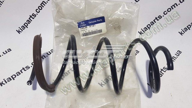 Пружина передня Hyundai/Kia 546301R101 ціна, від 44.38 USD