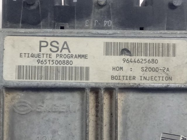 9651500880 Peugeot/Citroen 