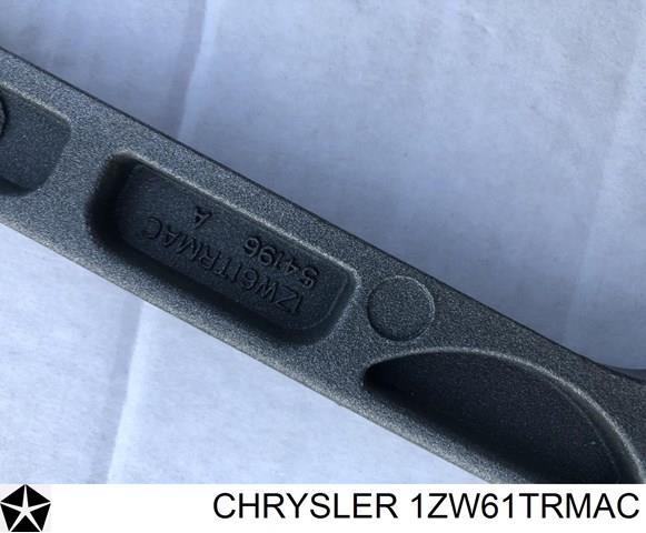  1ZW61TRMAC Chrysler
