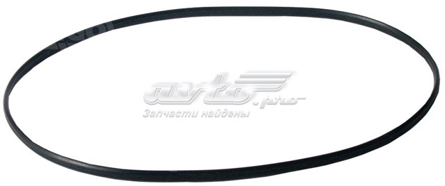 Купити F032234669 Cargo Сальник генератора