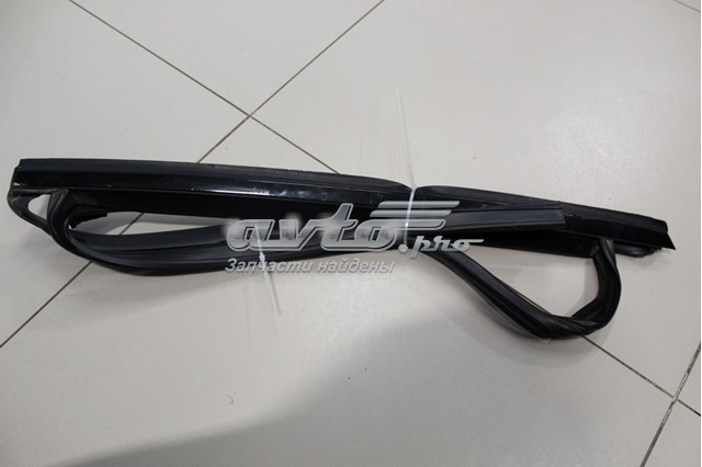 51357317813 BMW 