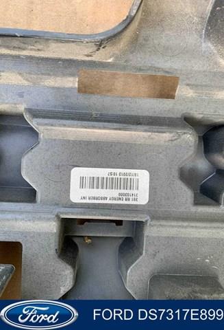  DS7317E899 Ford