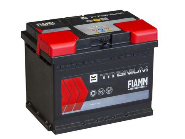 7905178 Fiamm 