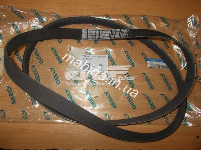  1073002300 Geely