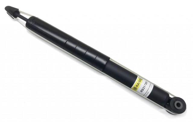 RS317351 Raiso Амортизатори задні