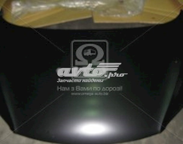 Капот 271885280 Tempest