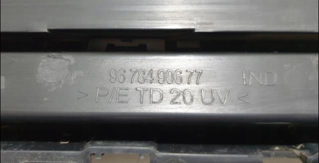  9678490677 Peugeot/Citroen