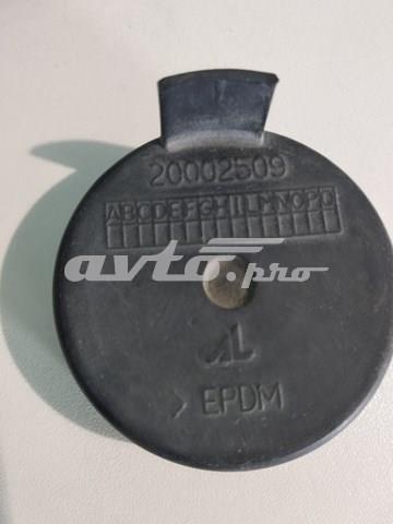 Купити 20002509 Fiat/Alfa/Lancia 