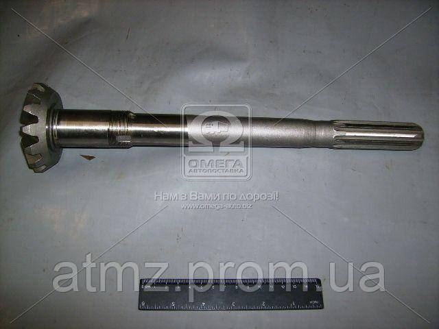  522308063 MTZ