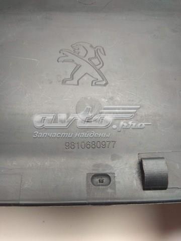  Peugeot/Citroen 9810680977 ціна, від 18.34 USD
