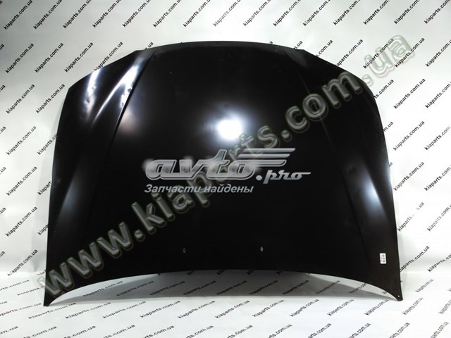 Купити 868411G200 Hyundai/Kia Бризковики задній, лівий