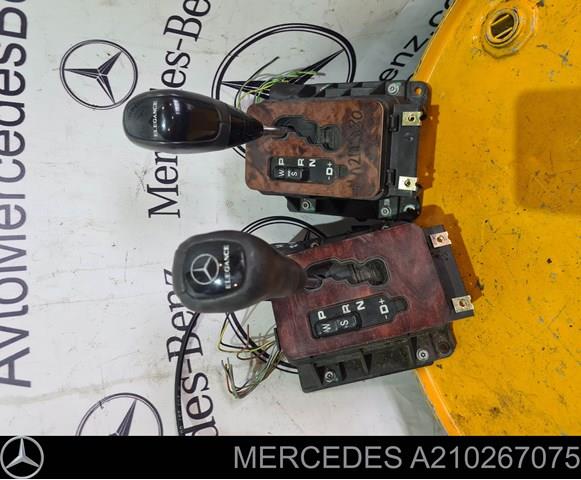 A210267075 Mercedes 