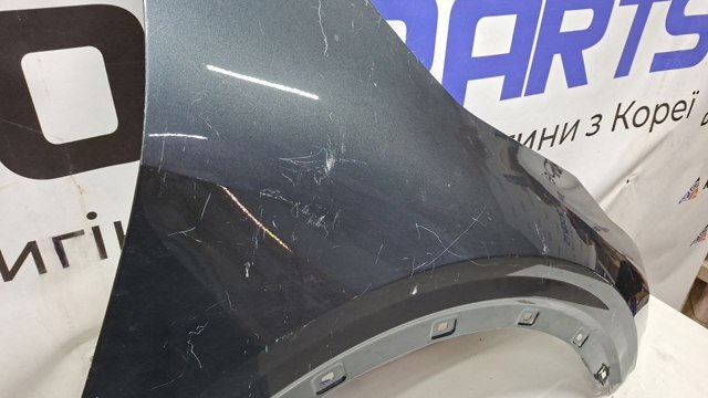 Крила 66320P1000 Hyundai/Kia