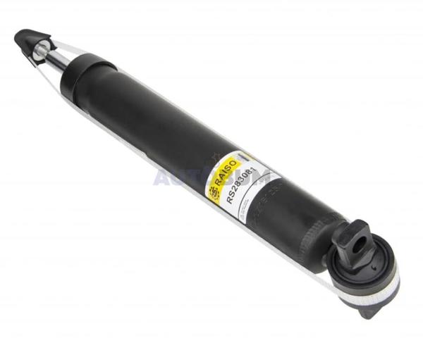 RS283081 Raiso Амортизатори задні