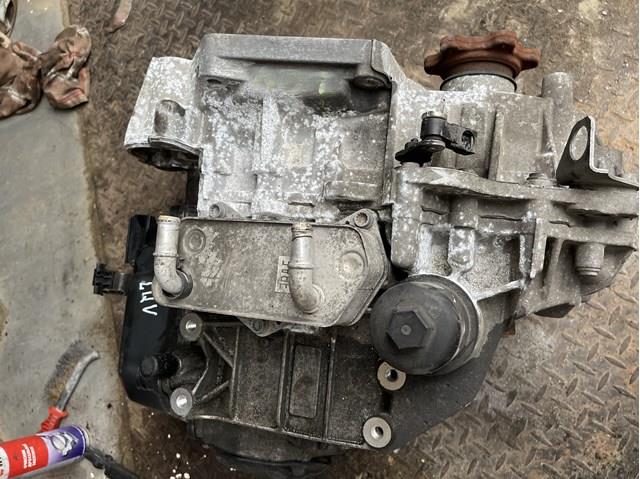 LQV VAG 