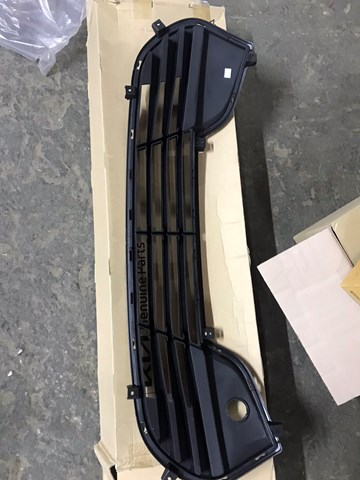 Решітка переднього бампера, нижня Hyundai/Kia 865602V000 ціна, від 25.65 USD