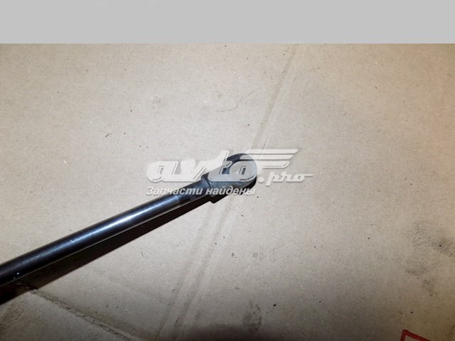 Амортизатор кришки багажника Nissan/Infiniti 844309Y000