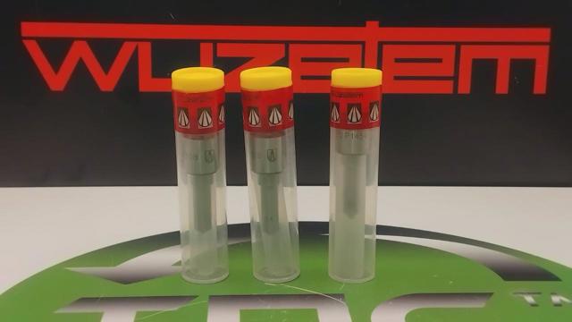 Купити PDLLA152P1454 Wuzetem Розпилювач дизельної форсунки