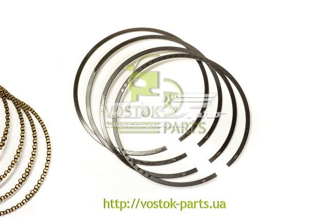 Купити 480EF1004030CA Chery Кільця поршневі на 1 циліндр, 2-й ремонт (+0,50)