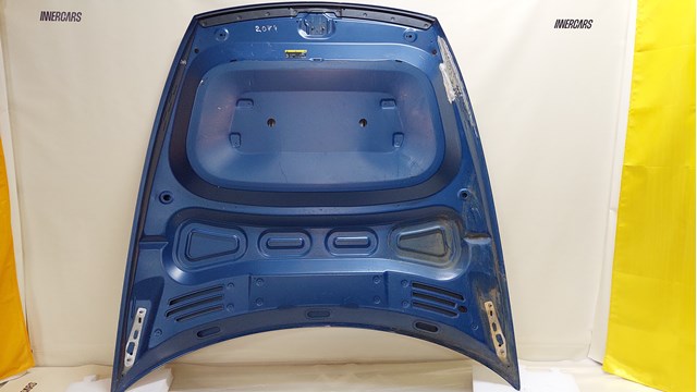 Капот VAG 4J3823031C ціна, від 375.00 USD