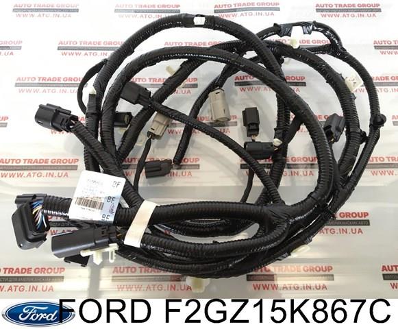  Ford F2GZ15K867C