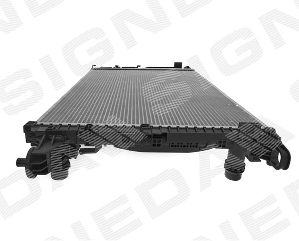 RA606573Q Signeda 