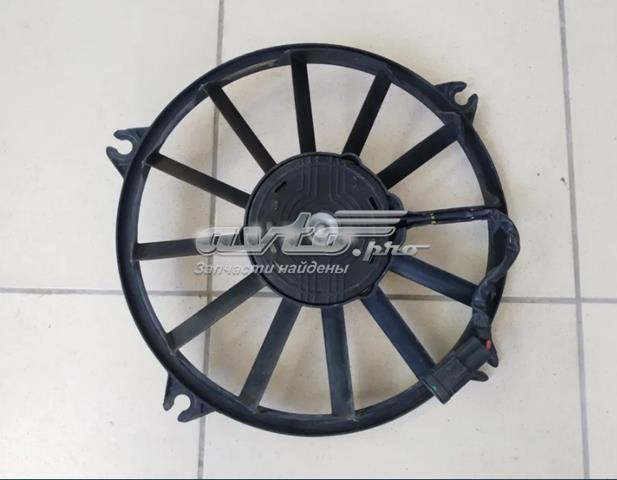 Купити 989775F Peugeot/Citroen 