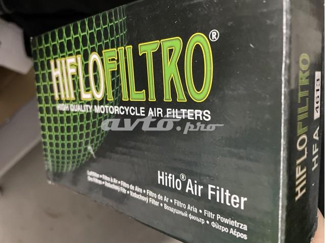 HFA4613 Hiflofiltro Повітряний фільтр двигуна