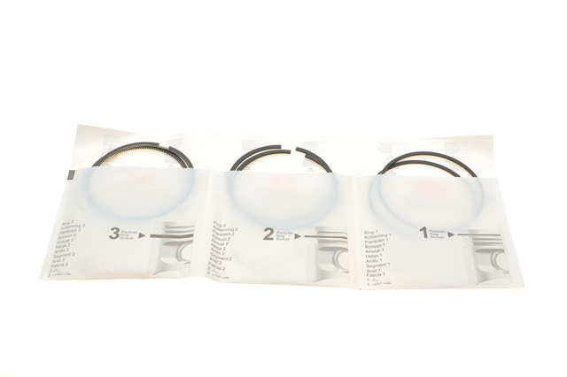Купити PRREN443841025SET AMP/Paradowscy 