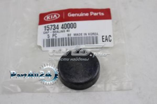 Заглушка ГБЦ Hyundai/Kia 1573440000