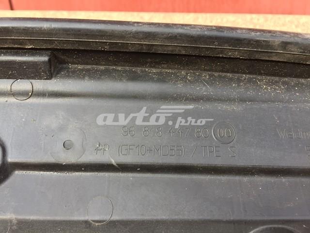 Купити 9654550780 Peugeot/Citroen 