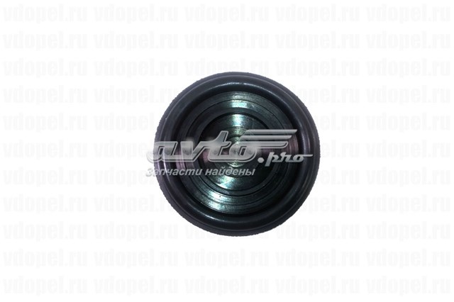  KL5607229 Klifex
