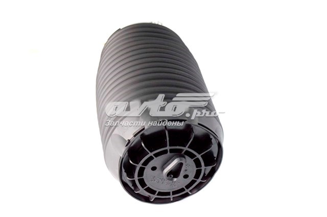 553603M501 Hyundai/Kia Пружина задня, права