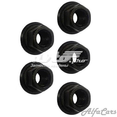 Купити SS1179 DP Group Колісні гайки