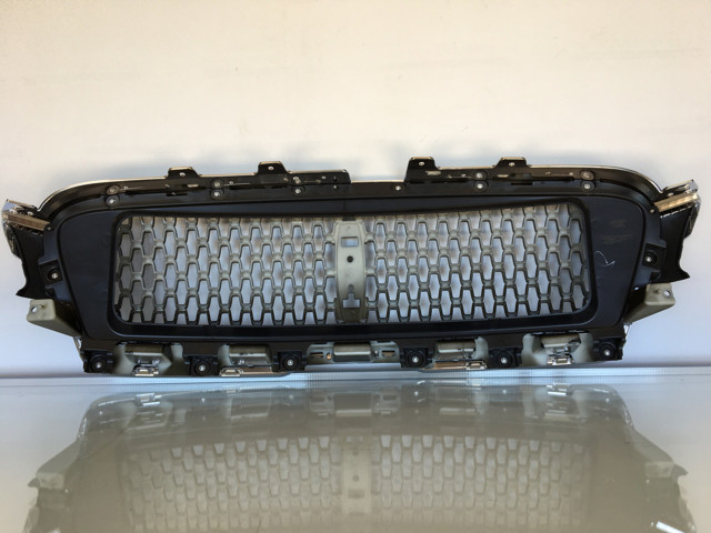 Купити HP5Z8200CA Ford Захисна решітка радіатора