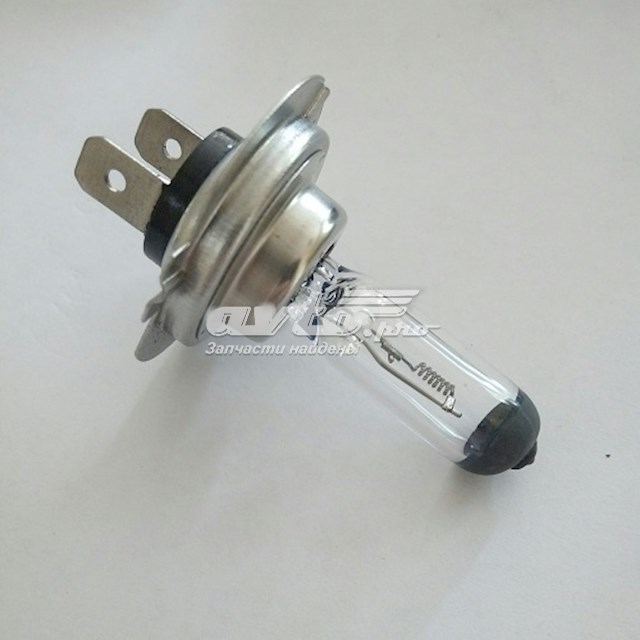 H724V70W Tempest Лампочка галогенна