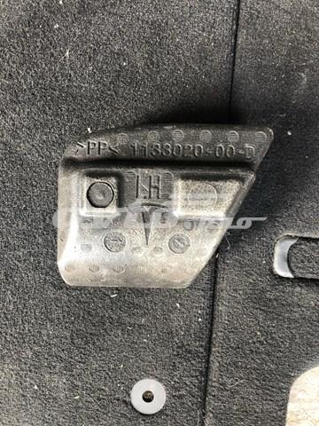 113302000D Tesla 