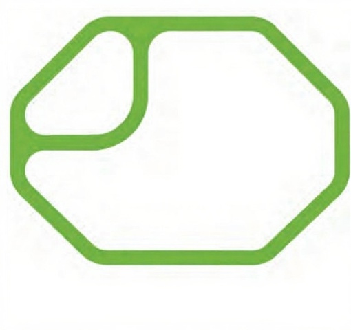 G203106 Santech 