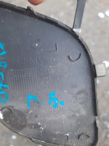  9816030177 Peugeot/Citroen