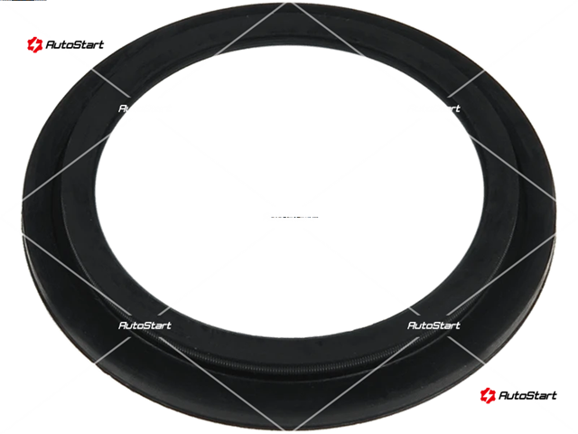 Сальник генератора CARGO 131449