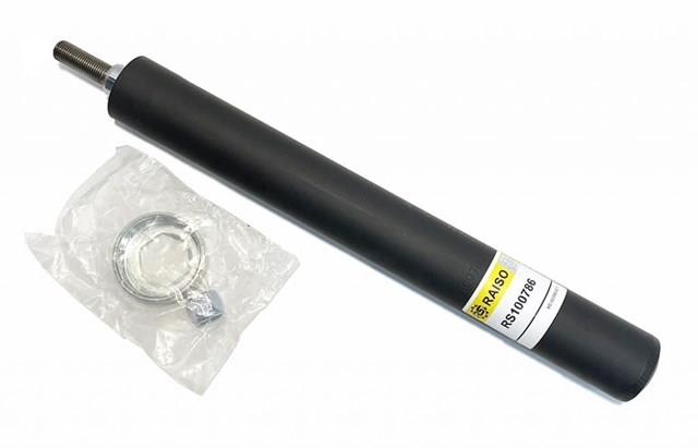 Амортизатори передні Raiso RS100786
