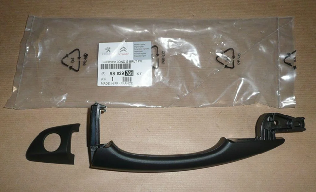 98029781XT Peugeot/Citroen 