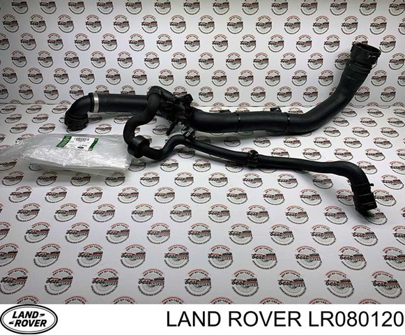 LR034652 Land Rover Шланг/патрубок радіатора охолодження, нижній